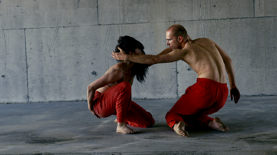BINARY - EDIFICE - DIRECTOR / CHOREOGRAPHER
